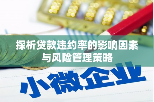 海南探析贷款违约率的影响因素与风险管理策略