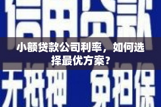 海南小额贷款公司利率，如何选择最优方案？