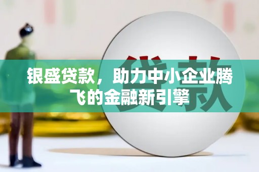 海南银盛贷款，助力中小企业腾飞的金融新引擎