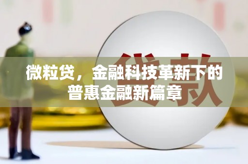 海南微粒贷，金融科技革新下的普惠金融新篇章
