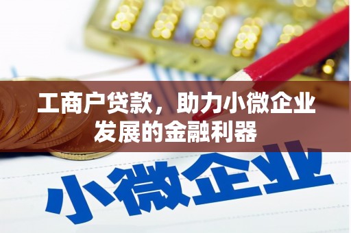 海南工商户贷款，助力小微企业发展的金融利器
