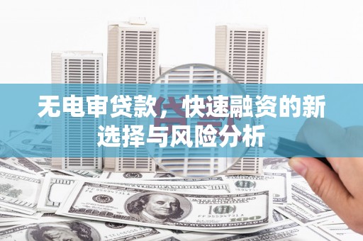 海南无电审贷款，快速融资的新选择与风险分析