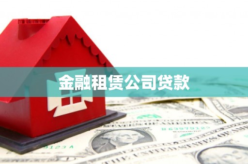 海南金融租赁公司贷款