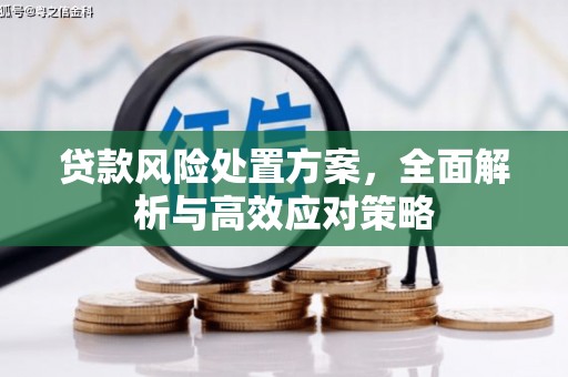 海南贷款风险处置方案，全面解析与高效应对策略