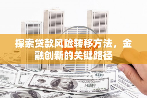 海南探索贷款风险转移方法，金融创新的关键路径