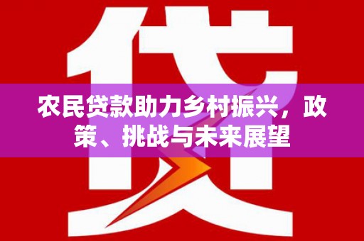 海南农民贷款助力乡村振兴，政策、挑战与未来展望