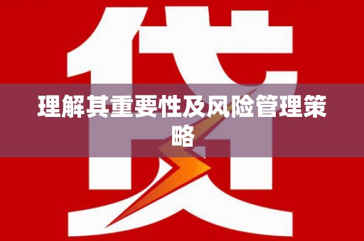 海南理解其重要性及风险管理策略