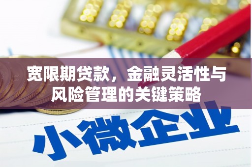 海南宽限期贷款，金融灵活性与风险管理的关键策略