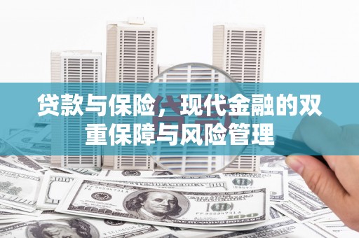 海南贷款与保险，现代金融的双重保障与风险管理