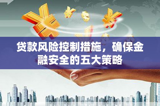 海南贷款风险控制措施，确保金融安全的五大策略