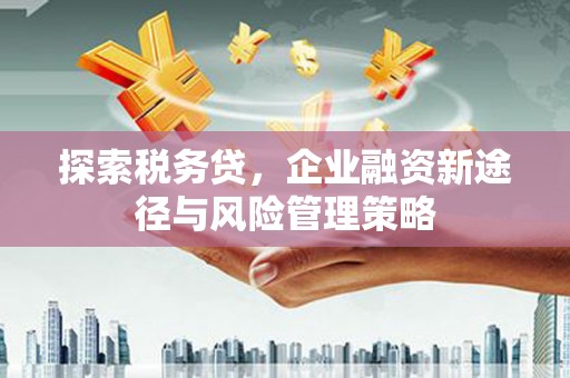 海南探索税务贷，企业融资新途径与风险管理策略
