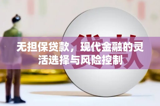 海南无担保贷款，现代金融的灵活选择与风险控制