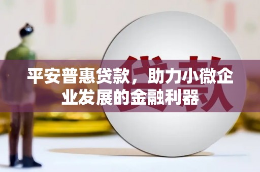 海南平安普惠贷款，助力小微企业发展的金融利器