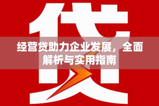 海南经营贷助力企业发展，全面解析与实用指南