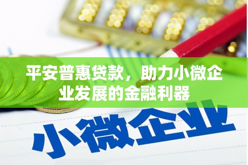 海南平安普惠贷款，助力小微企业发展的金融利器