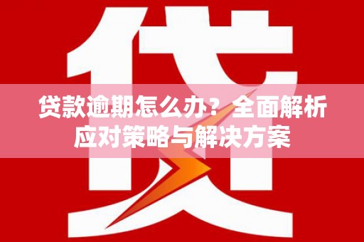 海南贷款逾期怎么办？全面解析应对策略与解决方案