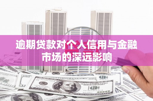 海南逾期贷款对个人信用与金融市场的深远影响