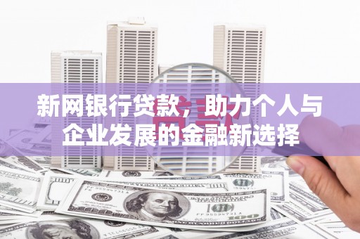 海南新网银行贷款，助力个人与企业发展的金融新选择