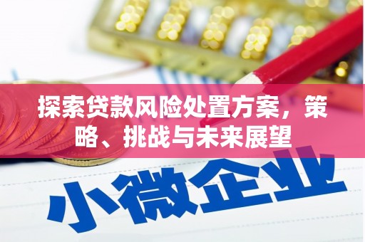 海南探索贷款风险处置方案，策略、挑战与未来展望