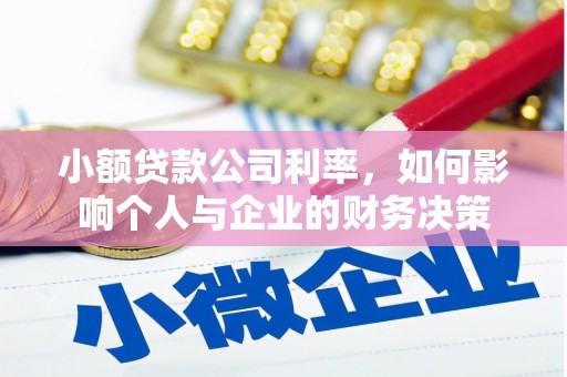 海南小额贷款公司利率，如何影响个人与企业的财务决策