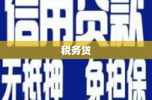 海南税务贷