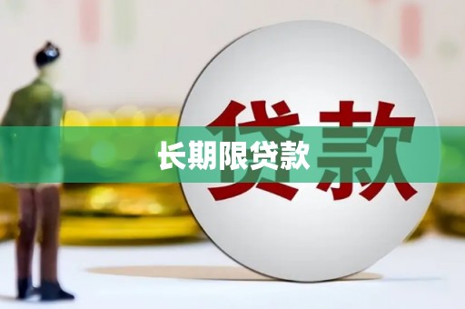 海南长期限贷款