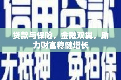 海南贷款与保险，金融双翼，助力财富稳健增长