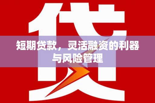 海南短期贷款，灵活融资的利器与风险管理