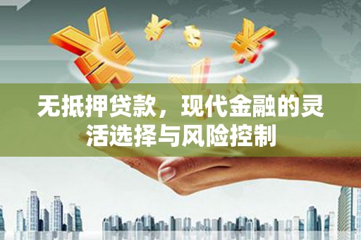 海南无抵押贷款，现代金融的灵活选择与风险控制