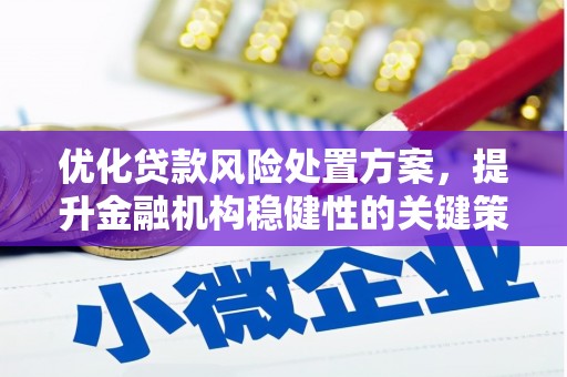 海南优化贷款风险处置方案，提升金融机构稳健性的关键策略