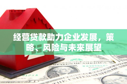 海南经营贷款助力企业发展，策略、风险与未来展望