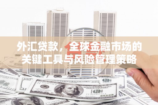 海南外汇贷款，全球金融市场的关键工具与风险管理策略
