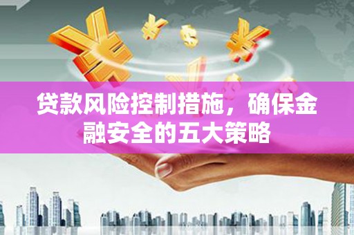 海南贷款风险控制措施，确保金融安全的五大策略