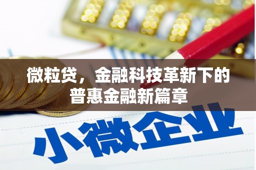 海南微粒贷，金融科技革新下的普惠金融新篇章