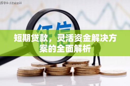海南短期贷款，灵活资金解决方案的全面解析
