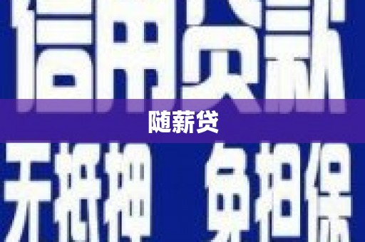 海南随薪贷