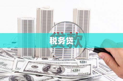 海南税务贷