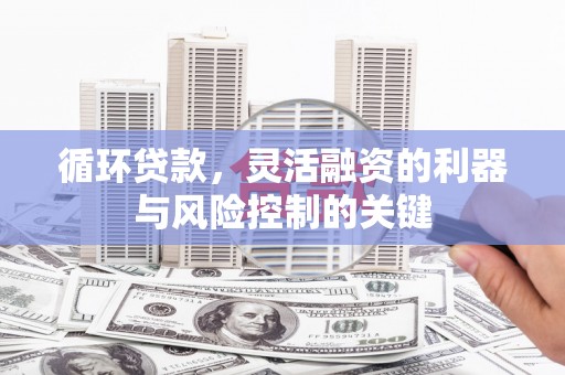 海南循环贷款，灵活融资的利器与风险控制的关键