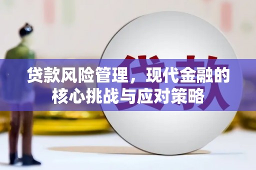 海南贷款风险管理，现代金融的核心挑战与应对策略
