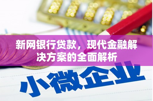 海南新网银行贷款，现代金融解决方案的全面解析