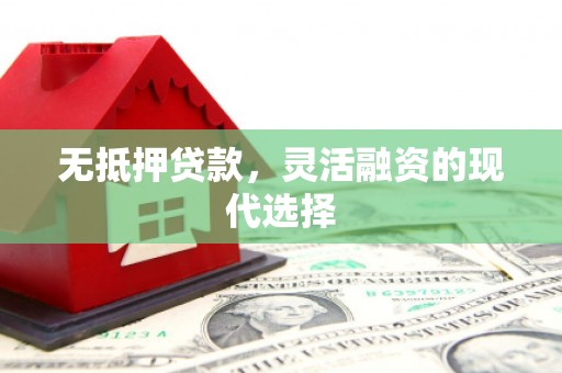 海南无抵押贷款，灵活融资的现代选择