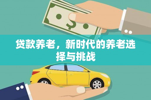 海南贷款养老，新时代的养老选择与挑战
