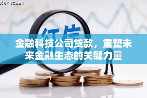 海南金融科技公司贷款，重塑未来金融生态的关键力量