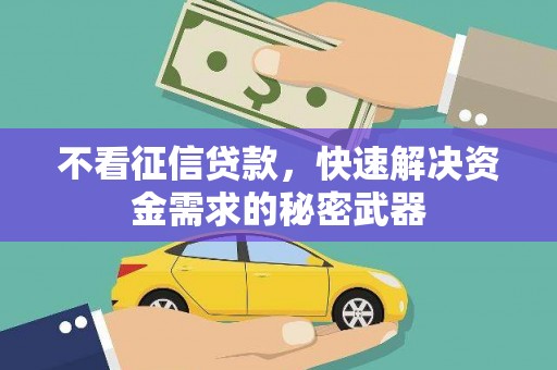 海南不看征信贷款，快速解决资金需求的秘密武器
