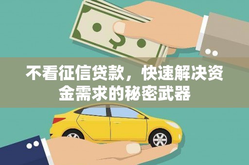 海南不看征信贷款，快速解决资金需求的秘密武器