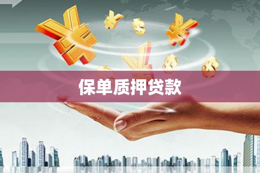 海南保单质押贷款