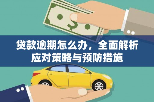 海南贷款逾期怎么办，全面解析应对策略与预防措施