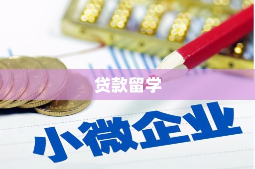 海南贷款留学