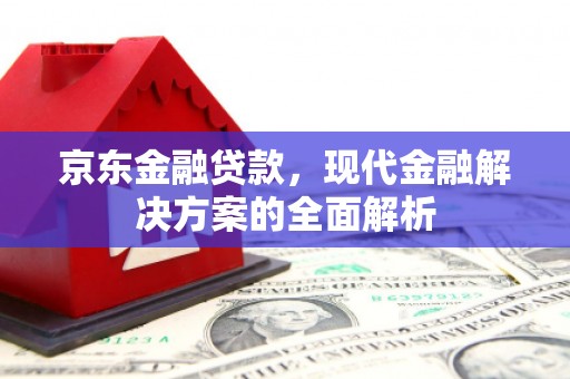 海南京东金融贷款，现代金融解决方案的全面解析