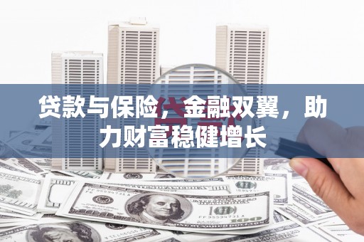 海南贷款与保险，金融双翼，助力财富稳健增长
